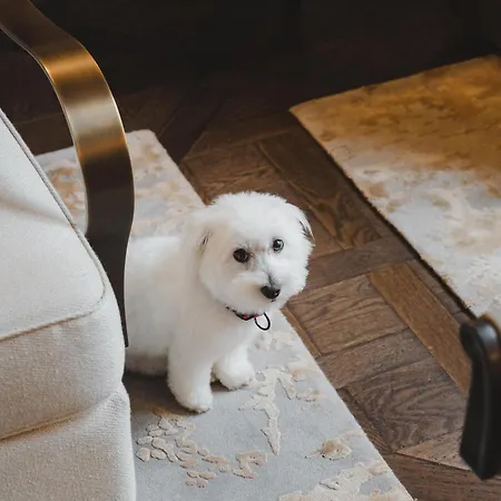 Hotel Maison Villeroy